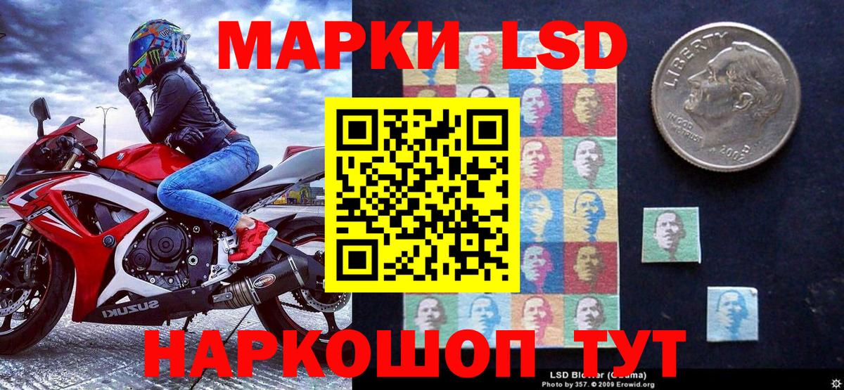 Псилоцибиновые грибы Ржев