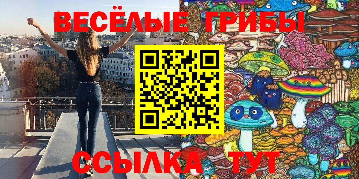 Псилоцибиновые грибы Cubensis  Псилоцибиновые грибы ЛСД  Ржев  Вход с VPN 